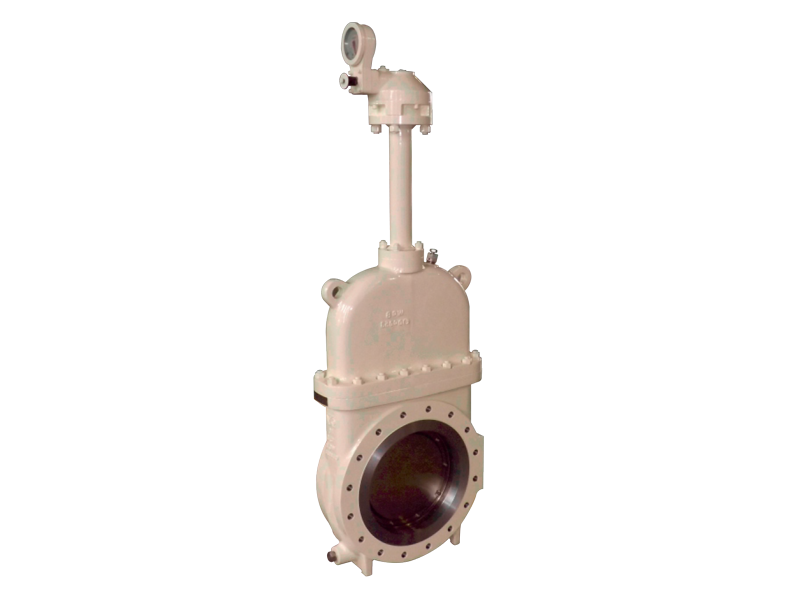 RG9 Compact Gate Valve