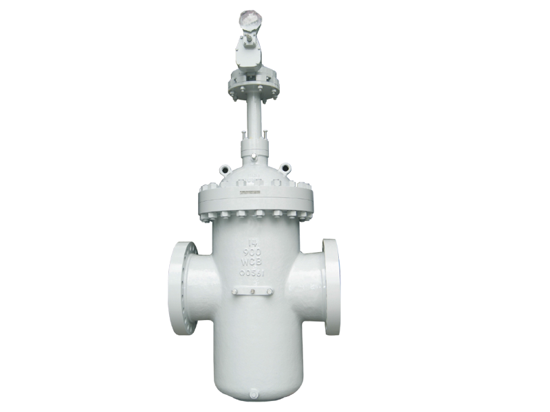 RDP Through Conduit Slab Gate Valve